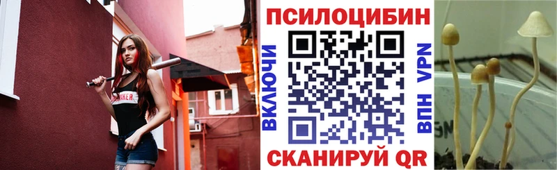Галлюциногенные грибы прущие грибы  Нарьян-Мар 